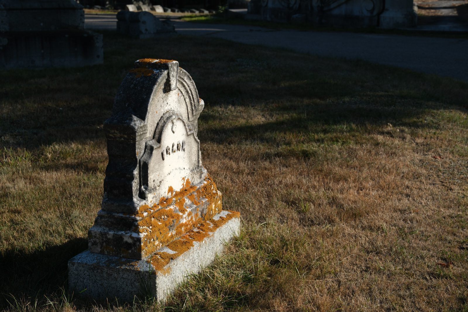 A lone gravestone in the foreground partially in shadows, covered in orange moss