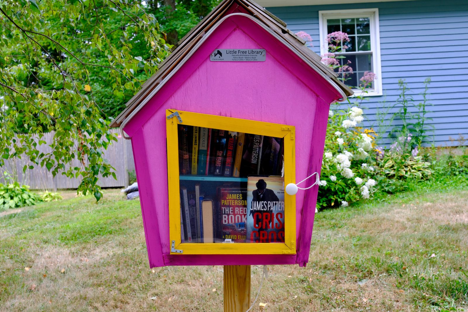 A brightly colored, asymettrical little library in a front yard
