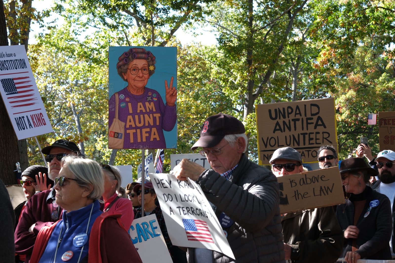 A large, detailed poster portraying an older woman giving the peace sign with liberal / progressive buttons