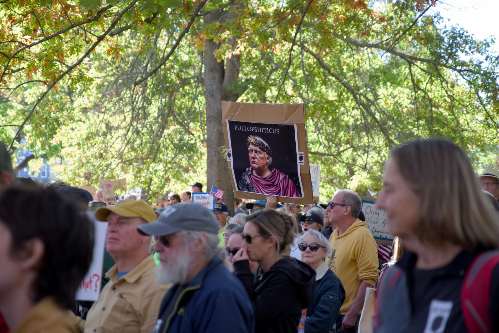 No kings sign with Trump as an ancient Roman Emperor