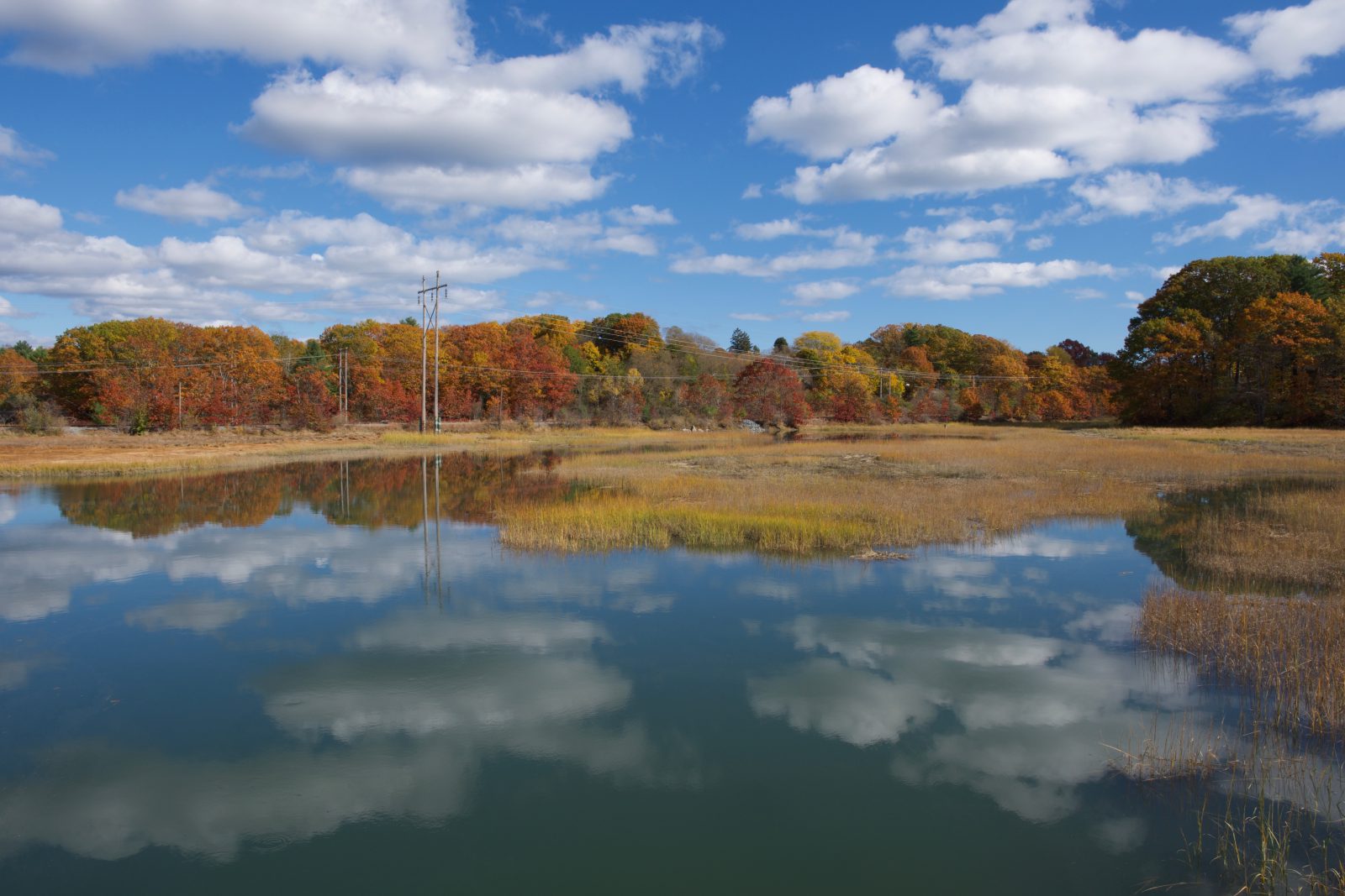 Big fluffy clouds and a bright blue sky over fall foliage and a marsh