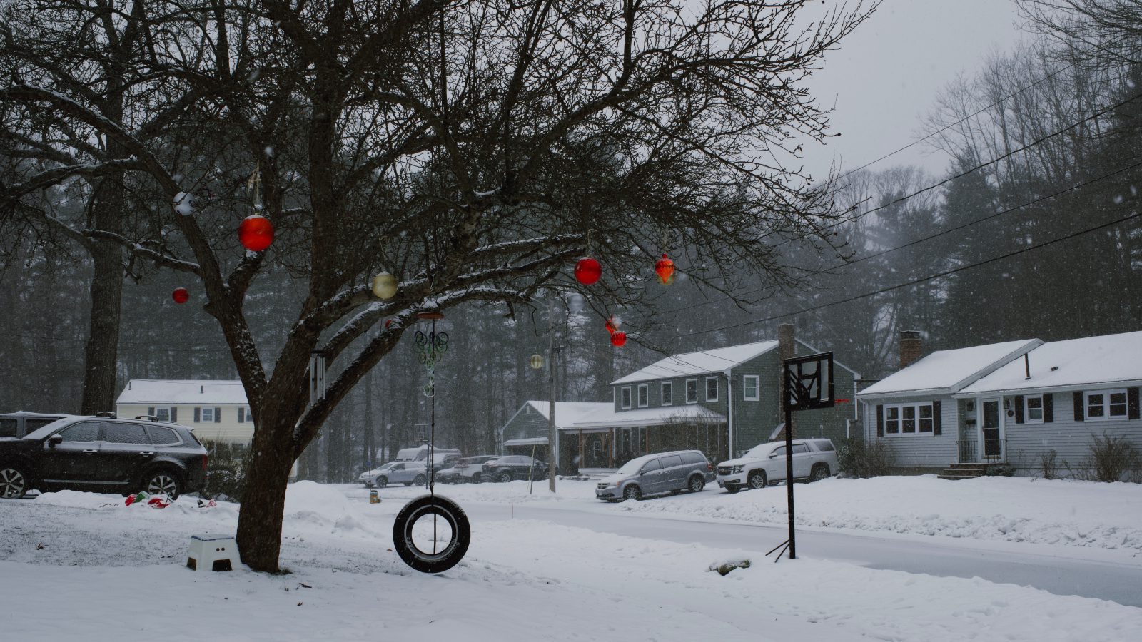 A tire swing covered in snow with various colorful decorations in the tree