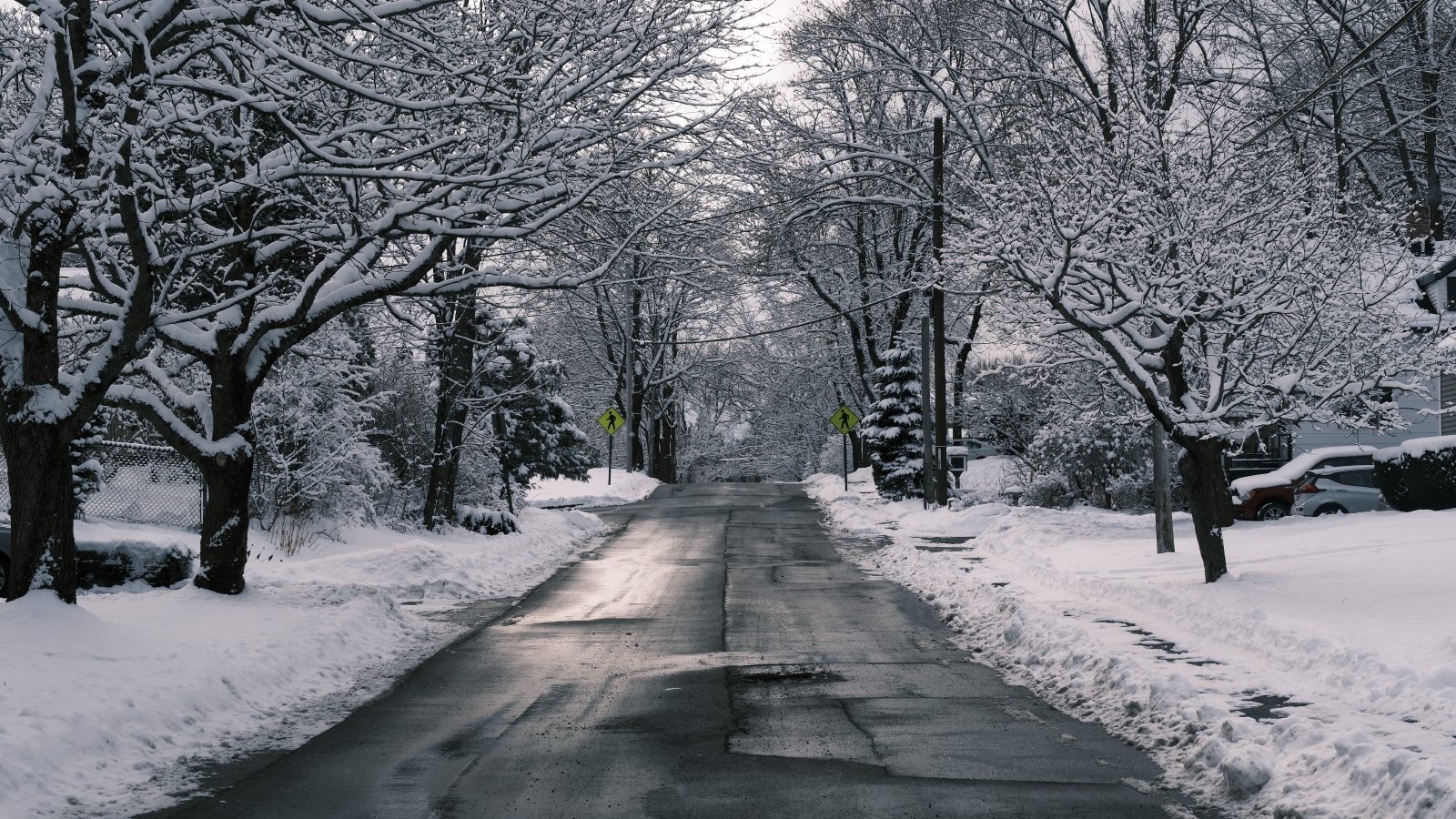 Looking down a freshly plowed road flanked by snow-covered trees on a clear winter day.