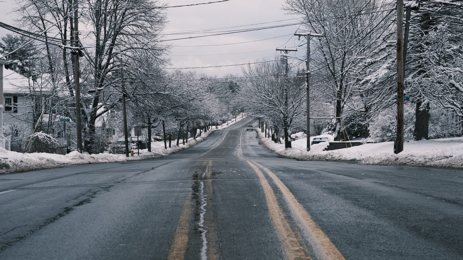 A wide street lined with trees covered in snow during winter.