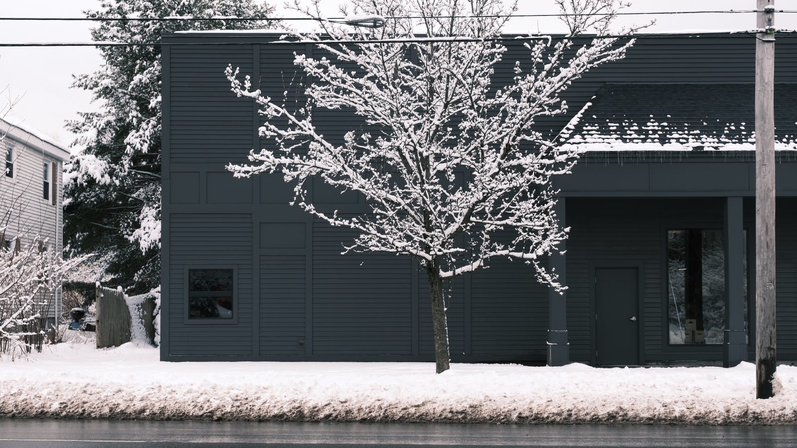 A single snow covered tree in front of a dark gray building