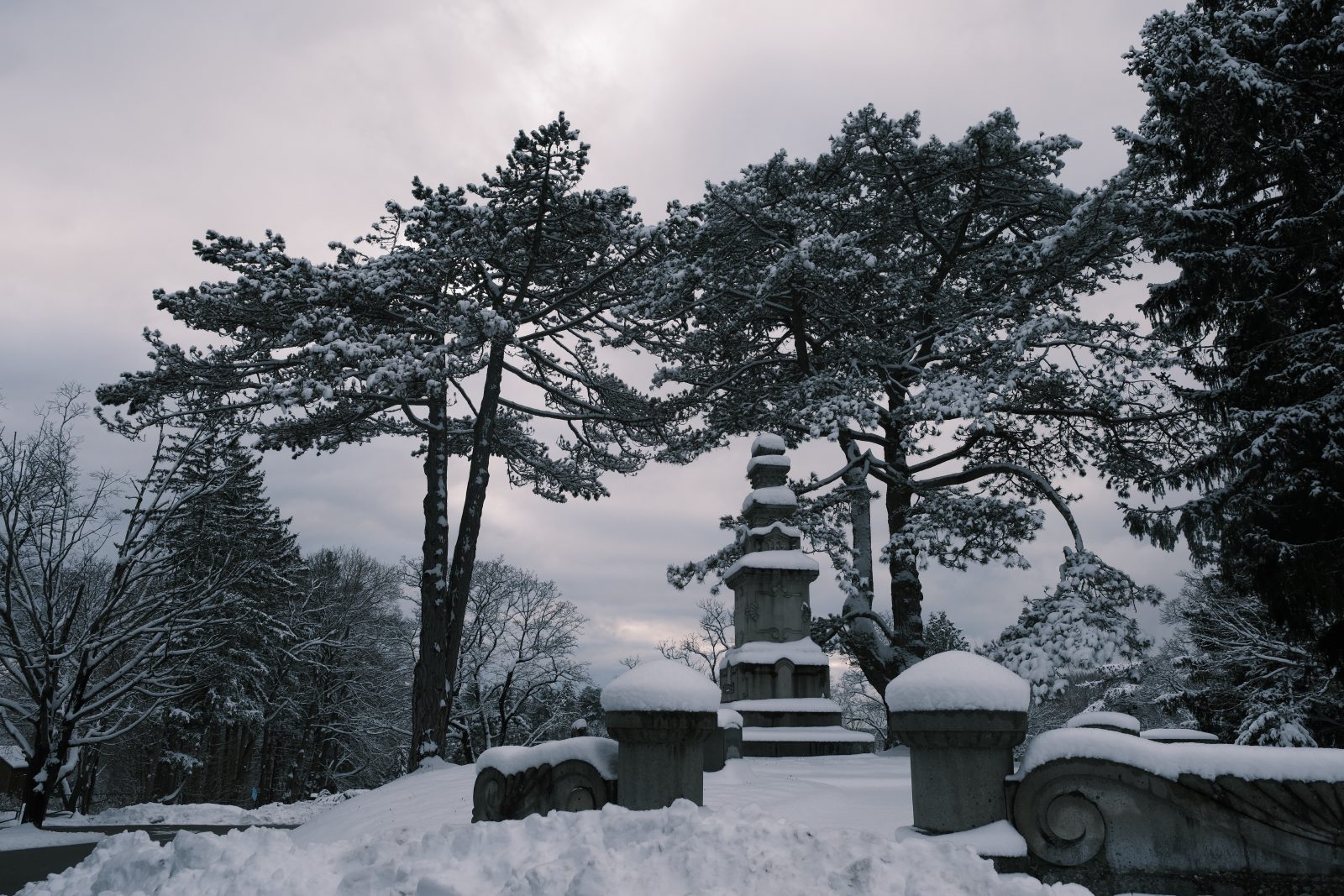 Two large trees framing a cemetery's monument.
